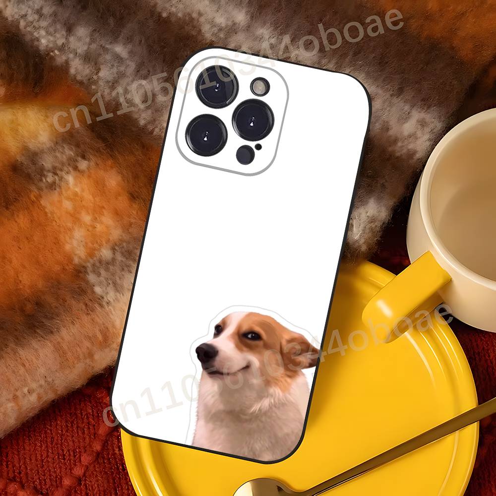 iPhone 17,16,15,14,13,12,11,Pr - Phone Cases Viral incelemesi ve fiyatı