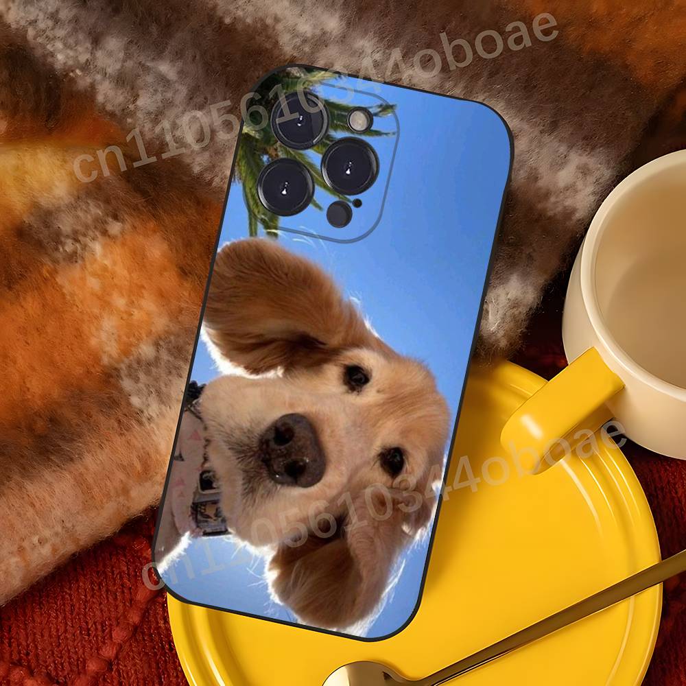 iPhone 17,16,15,14,13,12,11,Pr - Phone Cases Viral incelemesi ve fiyatı